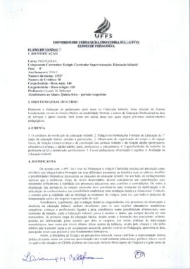 Estágio Curricular Supervisionado - Educação Infantil