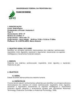 Anatomia II