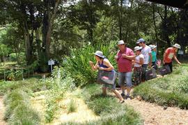 Participação da UFFS no CDA 2017