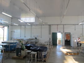 Execução de reformas no Centro Ambulatorial da Medicina Veterinária – Campus Realeza