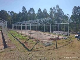 Estufas – Áreas Experimentais – Campus Chapecó