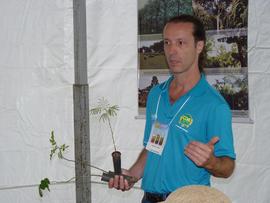 Campo Demonstrativo ALFA