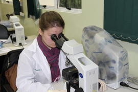 Laboratório de Microscopia