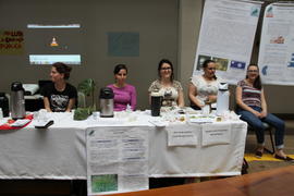 Banca das plantas medicinais