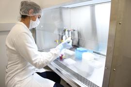 Laboratório de preparo histológico e patologia