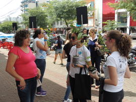 Pedágio Solidário Engenharia Ambiental