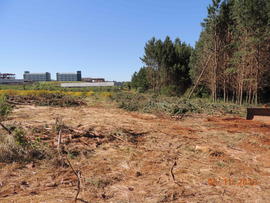 Terraplenagem, drenagem pluvial e pavimentação das vias internas – Campus Chapecó