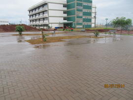 Plantação de grama - Campus Realeza