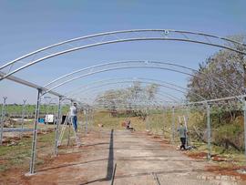 Estufas – Áreas Experimentais – Campus Chapecó