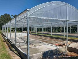 Estufas – Áreas Experimentais – Campus Chapecó