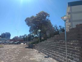 Pavimentação - Campus Passo Fundo