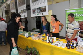 Evento “Terra e Arte”