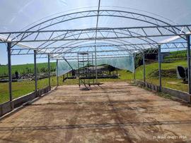 Estufas – Áreas Experimentais – Campus Chapecó