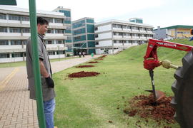 Plantio de árvores no Campus Chapecó