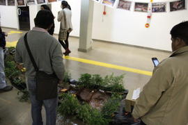 IV Encontro Internacional de Ciências Sociais e Barragens