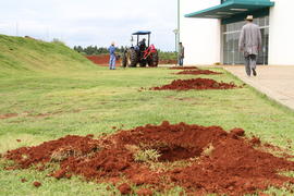 Plantio de árvores no Campus Chapecó