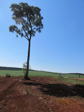 Construção Prédio Biblioteca, TI e Arquivo - Campus Chapecó