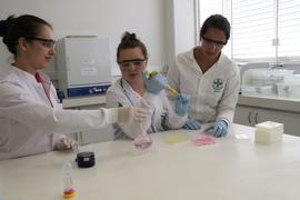 Laboratório de preparo histológico e patologia
