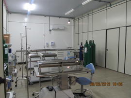Execução de reformas no Centro Ambulatorial da Medicina Veterinária – Campus Realeza