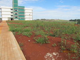 Construção Bloco A – Campus Realeza
