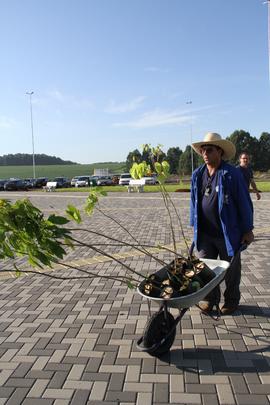 Plantio de árvores no Campus Chapecó