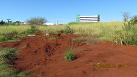 Terraplenagem, drenagem pluvial e pavimentação das vias internas – Campus Realeza