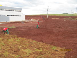 Plantação de grama - Campus Realeza