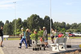 Plantio de árvores no Campus Chapecó