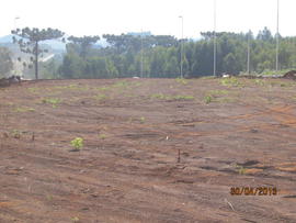 Terraplenagem, drenagem pluvial e pavimentação das vias internas – Campus Laranjeiras do Sul