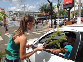 Pedágio Solidário Engenharia Ambiental