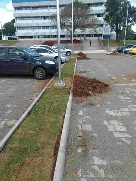 Pavimentação - Campus Passo Fundo