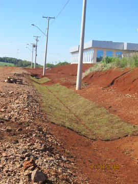 Plantação de grama - Campus Erechim