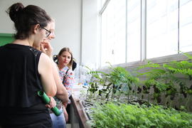 Estudantes de Itapiranga visitam a UFFS