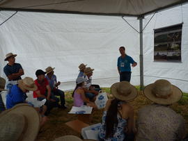 Campo Demonstrativo ALFA
