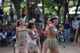 Terra indígena Toldo Chimbangue