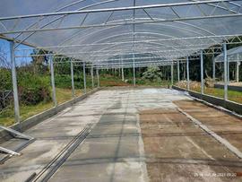 Estufas – Áreas Experimentais – Campus Chapecó