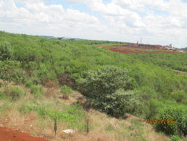 Terraplenagem – Campus Erechim