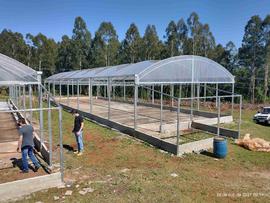 Estufas – Áreas Experimentais – Campus Chapecó