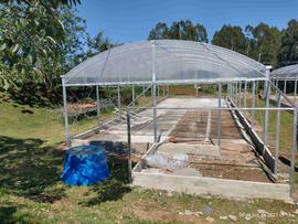 Estufas – Áreas Experimentais – Campus Chapecó