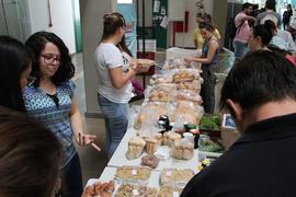 Inauguração da Feira Agroecológica