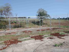 Estufas – Áreas Experimentais – Campus Chapecó