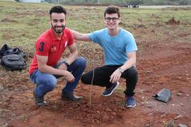 Plantio de mudas de árvores