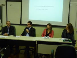 Seminário de língua e cognição