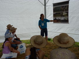 Campo Demonstrativo ALFA