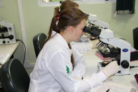 Laboratório de Microscopia