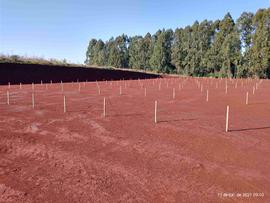 Construção das Usinas Fotovoltaicas – Campus Chapecó