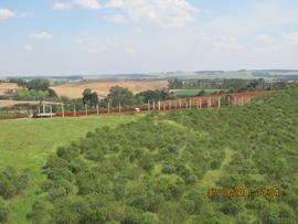 Construção Laboratórios Didáticos – Campus Erechim