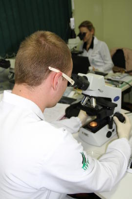 Laboratório de Microscopia