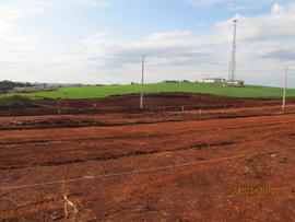 Terraplenagem, drenagem pluvial e sub-base vias internas – Campus Realeza