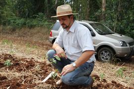 Doação de mudas frutíferas
